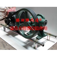 5HP 2吋 皮帶齒輪幫浦