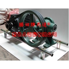 5HP 2吋 皮帶齒輪幫浦