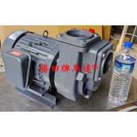 3HP 2P 3吋 高速泵浦